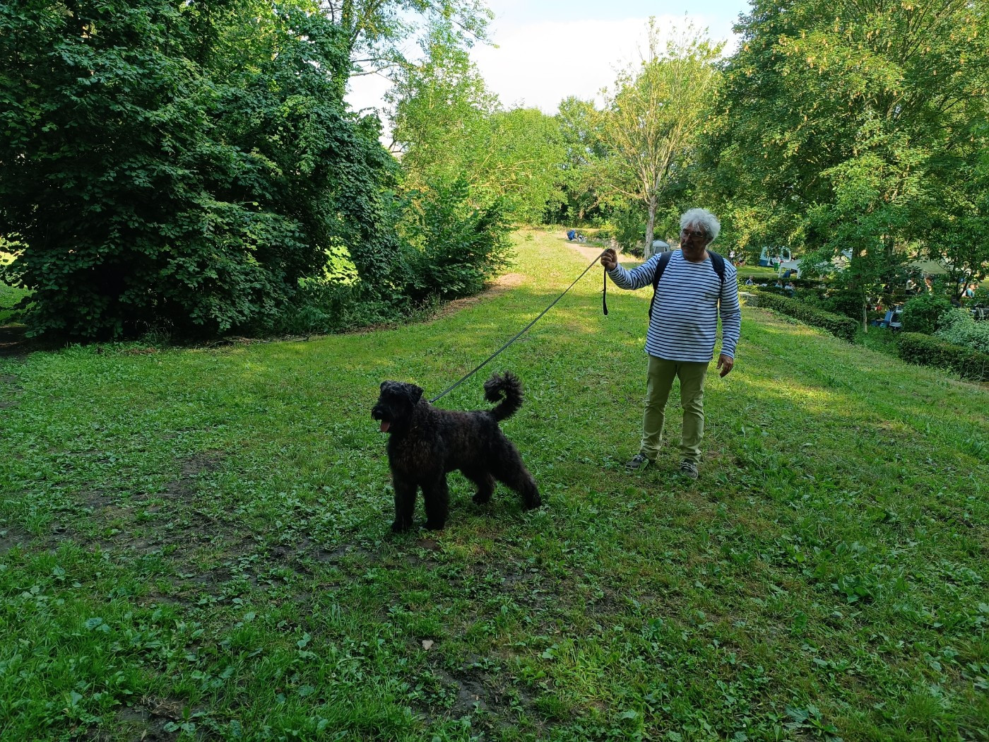 SUZETTE  du Bois de la Brique